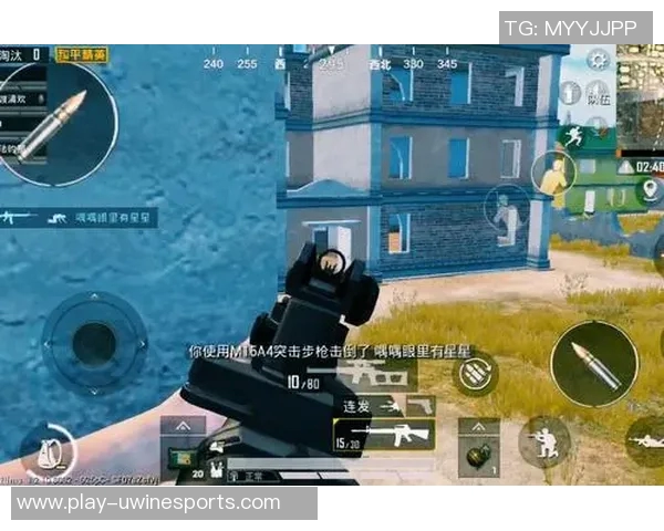 和平精英战术BLG的防反体系解析与实战应用技巧分享实时数据